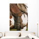 A Close-Up Of A Roper On Horseback Wall Mural
