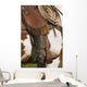 A Close-Up Of A Roper On Horseback Wall Mural