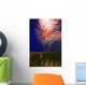 Fireworks In The Night Sky Wall Mural