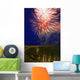 Fireworks In The Night Sky Wall Mural