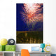 Fireworks In The Night Sky Wall Mural