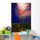 Fireworks In The Night Sky Wall Mural