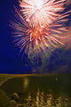 Fireworks In The Night Sky Wall Mural