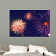 Fireworks In The Night Sky Wall Mural