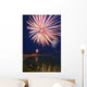 Fireworks Over A Body Of Water Wall Mural