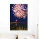 Fireworks Over A Body Of Water Wall Mural