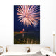 Fireworks Over A Body Of Water Wall Mural