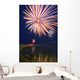 Fireworks Over A Body Of Water Wall Mural