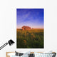 Dilapidated Shack In A Field Wall Mural