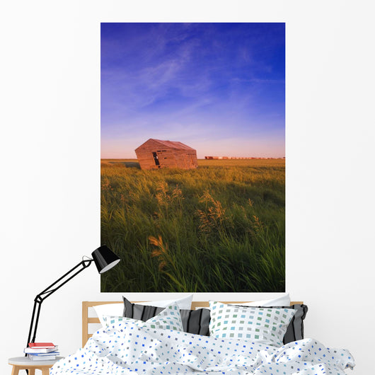 Dilapidated Shack In A Field Wall Mural