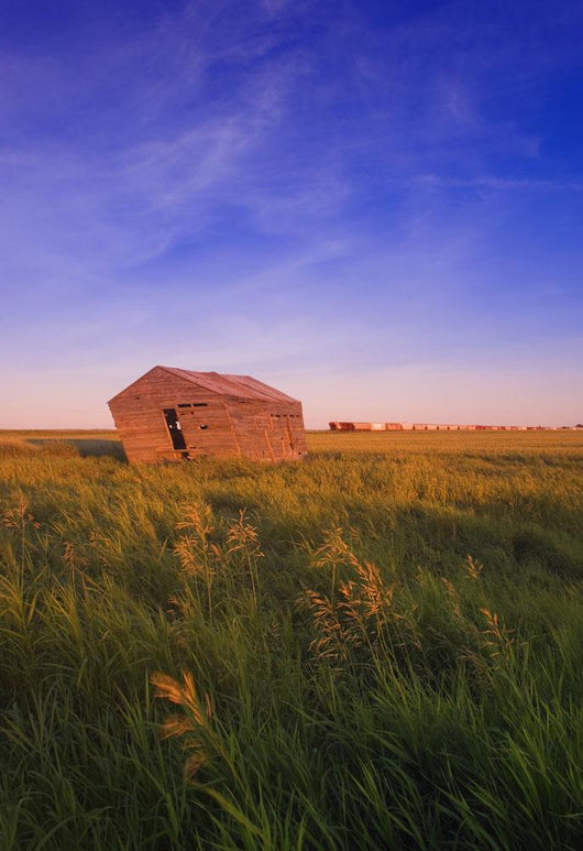 Dilapidated Shack In A Field Wall Mural