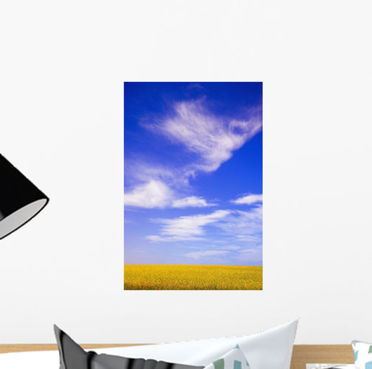 A Canola Field Wall Mural