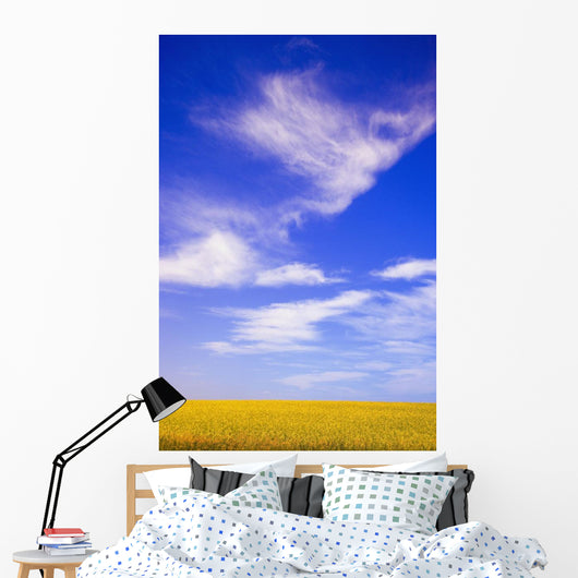 A Canola Field Wall Mural