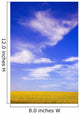 A Canola Field Wall Mural