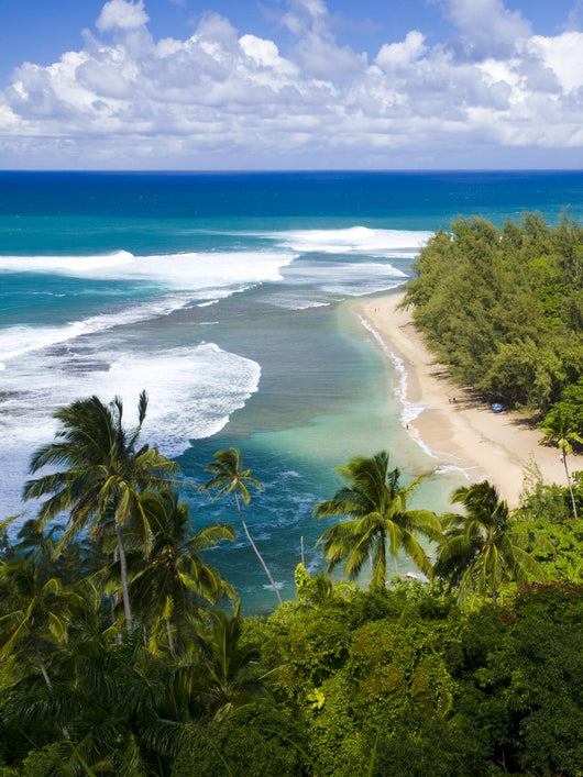 Kee Beach From Kalalau Trail Wall Mural