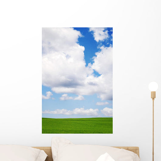 Clouds In The Sky Wall Mural