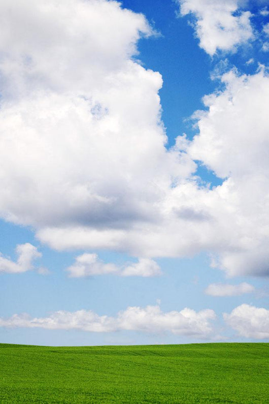 Clouds In The Sky Wall Mural