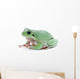 Cute Green Frog Wall Decal