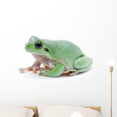 Cute Green Frog Wall Decal shown on a wall