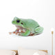 Cute Green Frog Wall Decal