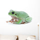 Cute Green Frog Wall Decal