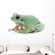 Cute Green Frog Wall Decal