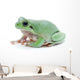 Cute Green Frog Wall Decal
