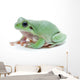 Cute Green Frog Wall Decal