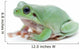 Cute Green Frog Wall Decal