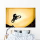 Silhouette Of Stunt Cyclist Wall Mural