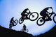 Stunt Cyclists, Alberta, Canada Wall Mural