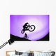 A Stunt Cyclist Silhouette Wall Mural