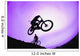 A Stunt Cyclist Silhouette Wall Mural