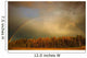 A Rainbow Over A Wooded Area Wall Mural