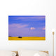 A Canola Field Wall Mural