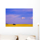 A Canola Field Wall Mural