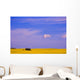 A Canola Field Wall Mural