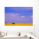 A Canola Field Wall Mural