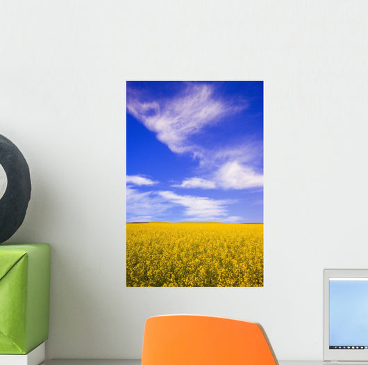 A Canola Field Wall Mural
