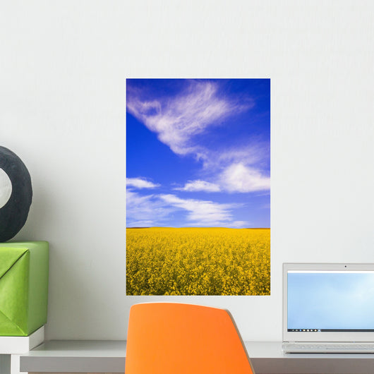 A Canola Field Wall Mural