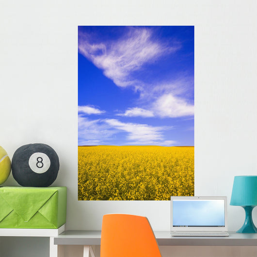 A Canola Field Wall Mural