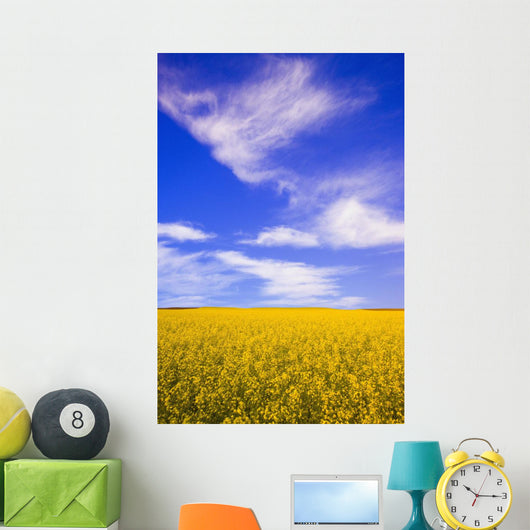 A Canola Field Wall Mural