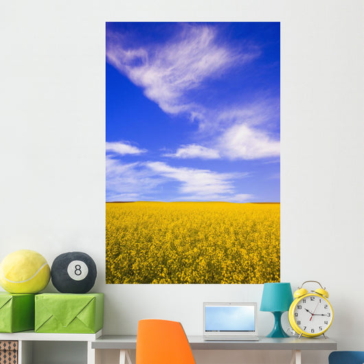 A Canola Field Wall Mural