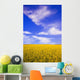 A Canola Field Wall Mural