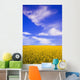A Canola Field Wall Mural