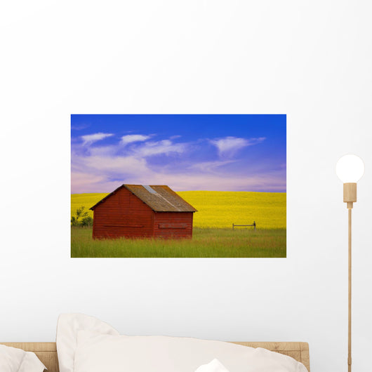 A Red Farm Building Against A Canola Field Wall Mural