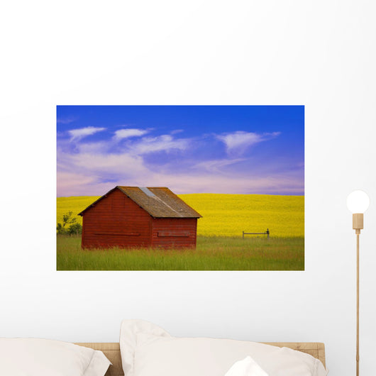 A Red Farm Building Against A Canola Field Wall Mural