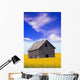 An Abandoned Farm Building Wall Mural