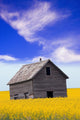 An Abandoned Farm Building Wall Mural