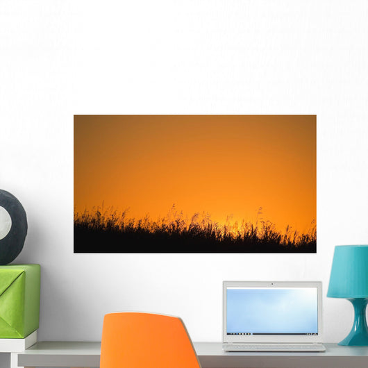 A Grassy Field With The Sun Setting Behind It Wall Mural